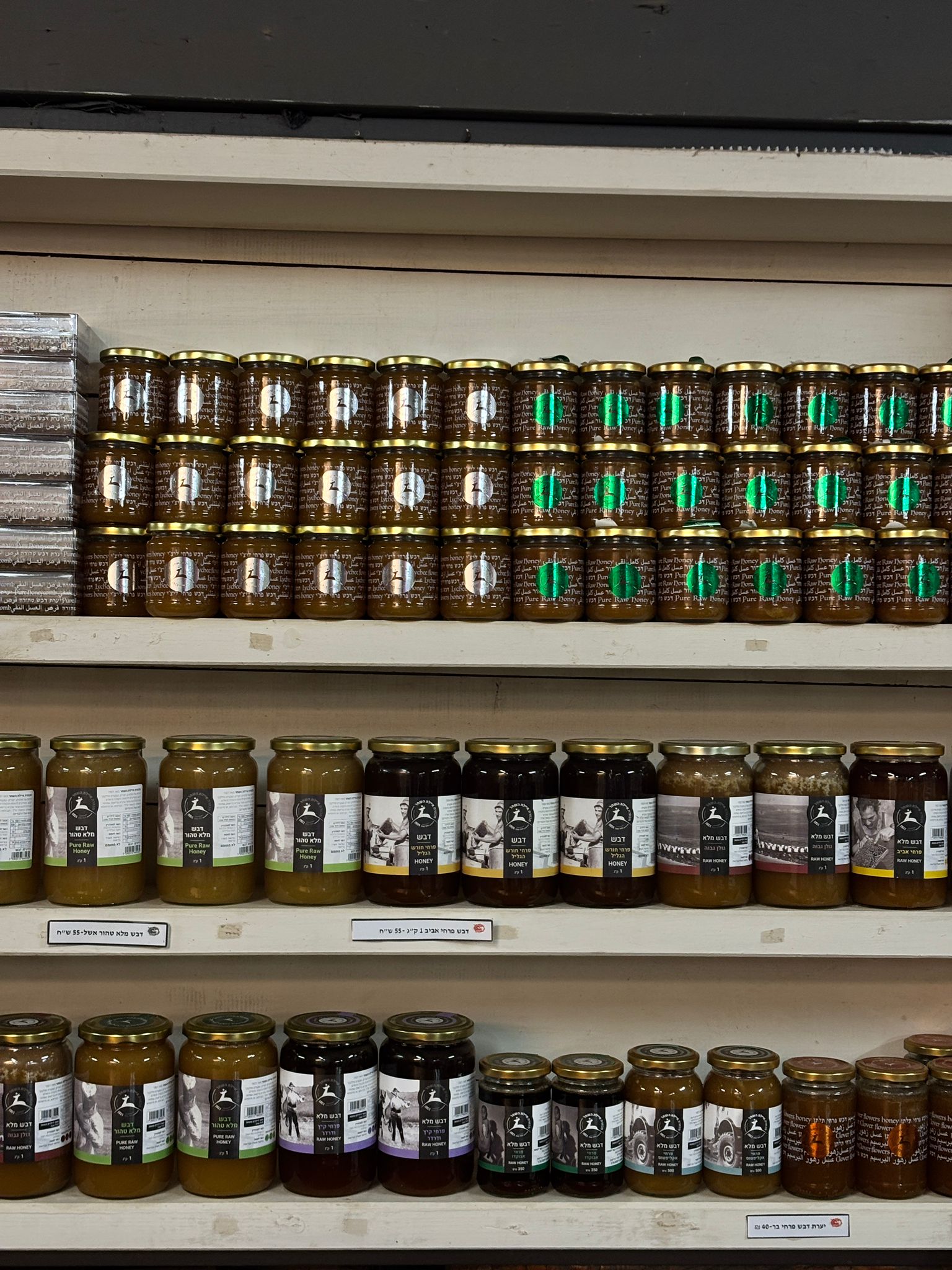 מרכז מבקרים דבש