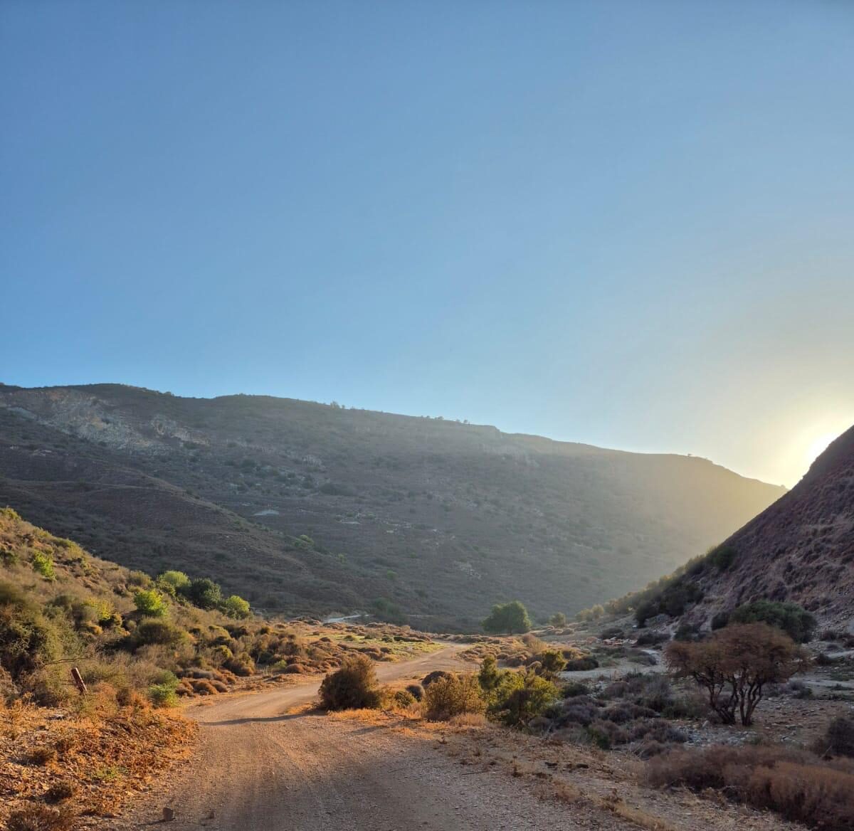 תמונת נוף