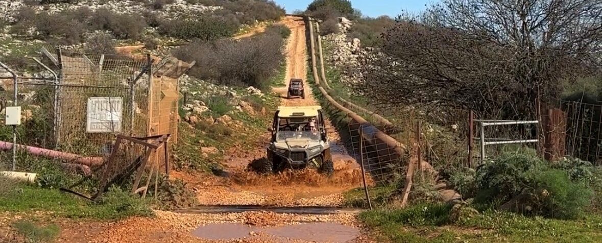 רייזר בשלולית